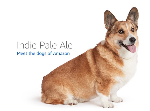 Bambu Lab AMS — — 3D printer