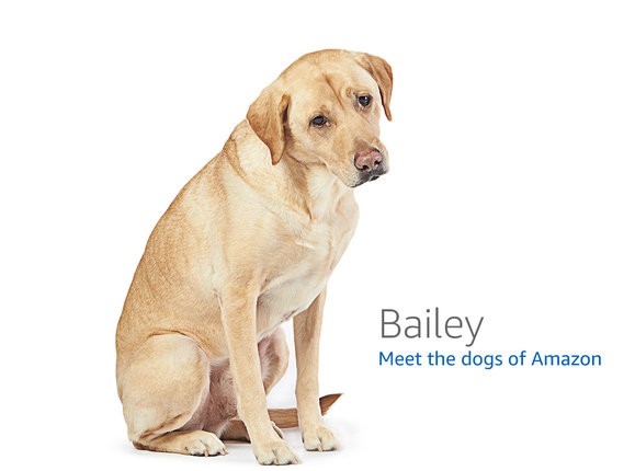 Beelink ME mini Mini PC (DIY NAS Server) — Intel N150 development board