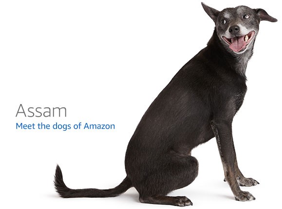 BIGTREETECH Panda Touch — RK3128 3D printer