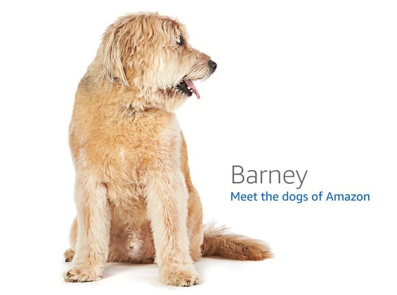 Google Coral Dev Board — NXP i.MX 8M + Edge TPU development board