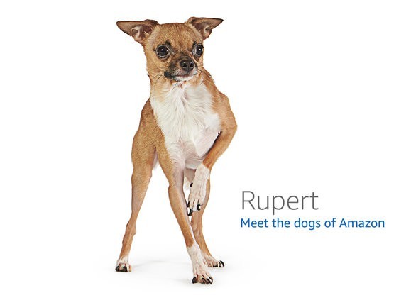 ESP32-H2-DevKitM-1 — ESP32-H2 development board