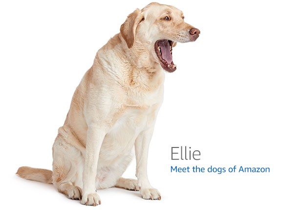 ESP32-P4 Function EV Board — ESP32-P4 development board