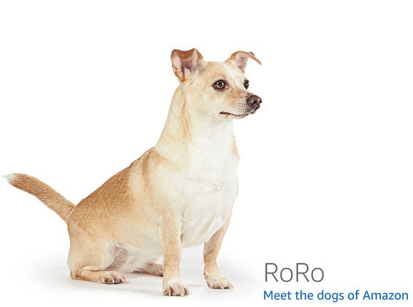 goCoax MA2500D MoCA 2.5 Adapter — MaxLinear MxL3710 development board