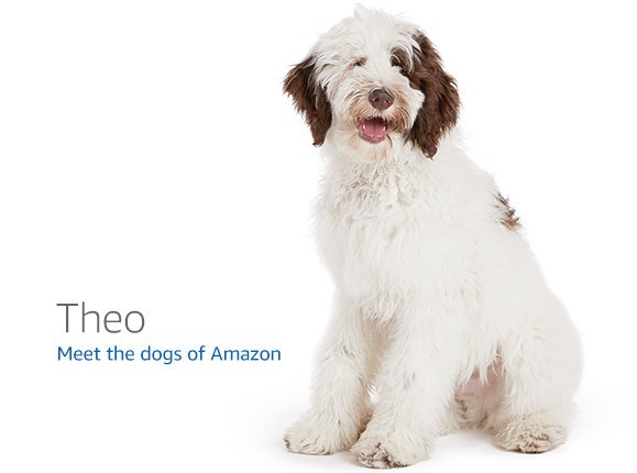 NVIDIA Jetson Orin Nano Developer Kit (8GB) — Jetson Orin Nano development board