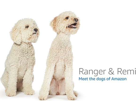 Motorola MM2025 MoCA 2.5 Adapter (2-pack) — MaxLinear MxL3710 development board