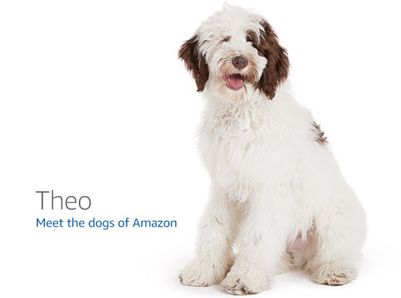 Orange Pi 5 (8GB) — RK3588S development board