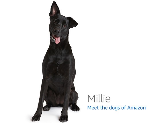 Pinecil V2 — BL706 development board