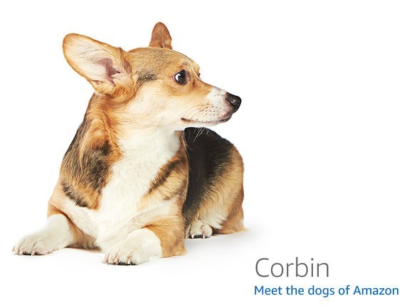 Raspberry Pi 5 (4GB) — BCM2712 development board