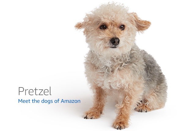 Raspberry Pi 5 (8GB) — BCM2712 development board