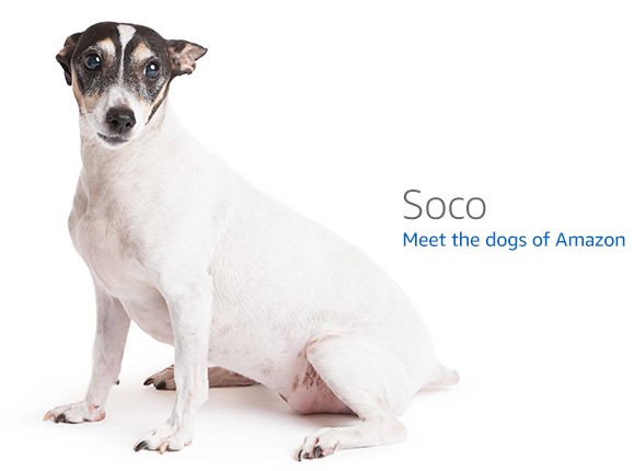 Raspberry Pi AI Kit (Hailo-8L) — Hailo-8L development board