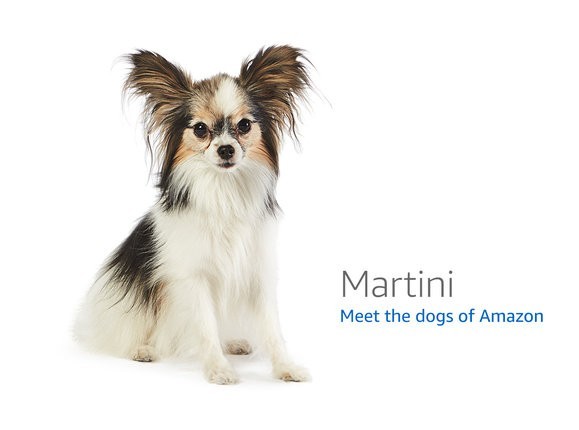 ScreenBeam ECB7250 MoCA 2.5 Network Adapter — MaxLinear MxL3710 development board