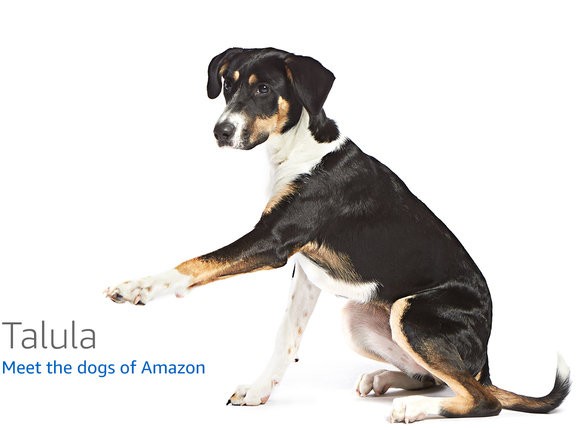 SUNLU FilaDryer S2 — — 3D printer