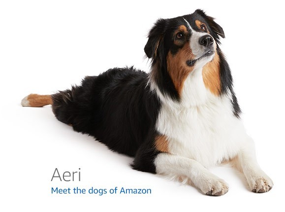 LILYGO T-Display S3 — ESP32-S3 development board