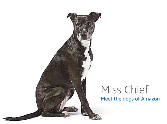 TerraMaster F2-424 2-Bay NAS — Intel Core i3-N305 development board