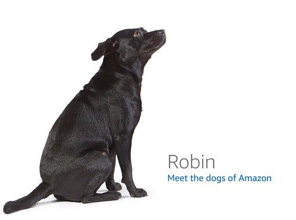 TP-Link Deco BE65 Wi-Fi 7 Mesh System (3-pack) — Qualcomm development board