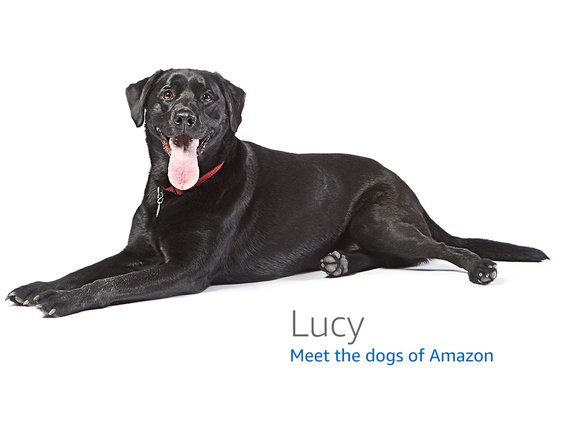 Ubiquiti AmpliFi Alien Wi-Fi 6 Router — Qualcomm development board