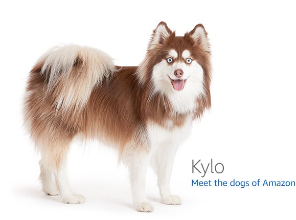 Ubiquiti UniFi U7 Pro Wi-Fi 7 Access Point — Qualcomm development board