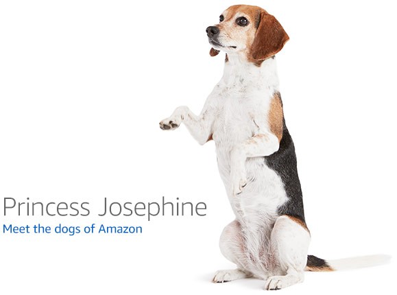 Ugreen NASync DXP4800 Plus 4-Bay NAS — Intel Pentium Gold 8505 development board